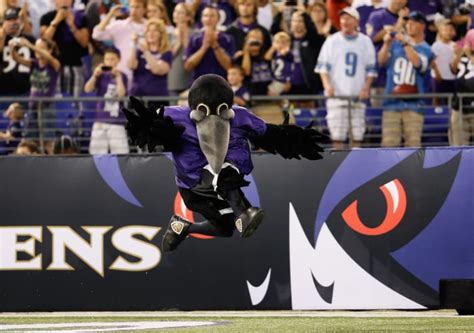 Look: Video Shows How Ravens Mascot Was Injured - The Spun