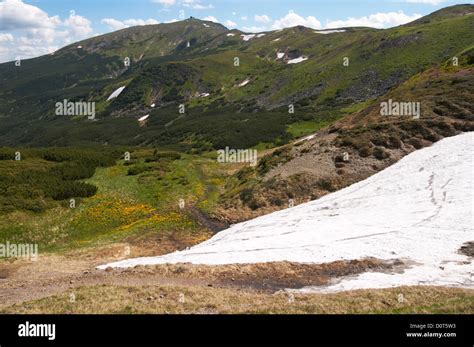 Summer mountain view Stock Photo - Alamy