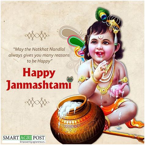 Wish You All Happy Krishna Janmashtami | Janmashtami wishes, Happy ...