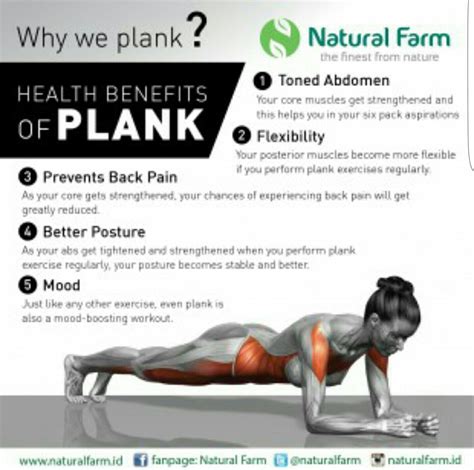 Plank Workout - Strengthen Your Core Muscles