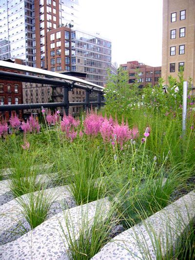 Piet Oudolf High Line New York - Landscape Architecture Modern Park Design