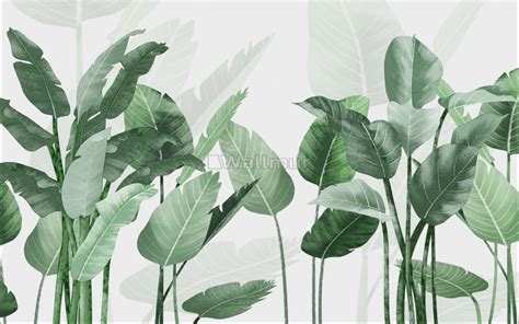 Fresh Green Tropical Leaf Wallpaper Mural | Green leaf wallpaper, Leaf ...