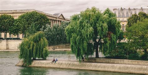 The 5 most secret gardens in Paris | The 500 Hidden Secrets