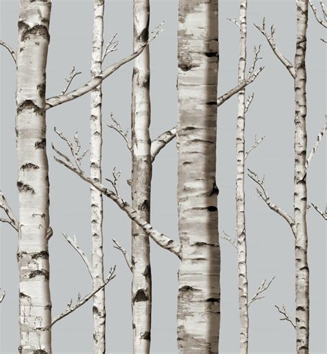 10 Excellent Sources for Buying Birch Tree Wallpaper | Apartment Therapy