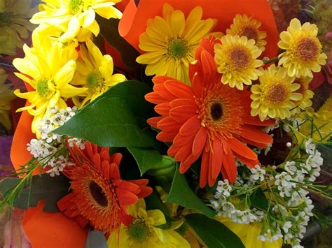 Image libre: fleur, bouquet, tournesol, flore, Arrangement, décoration, nature, feuille