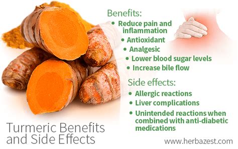 Turmeric Benefits and Side Effects | HerbaZest