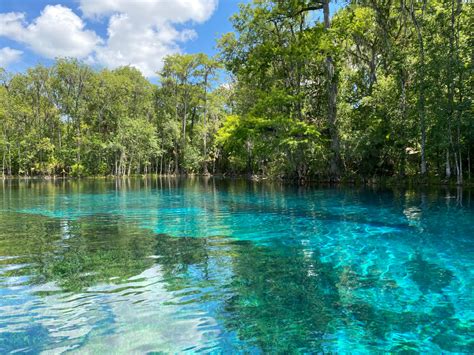 Florida's 'Number One Attraction' Before 'Disney' Is Even More Magical ...