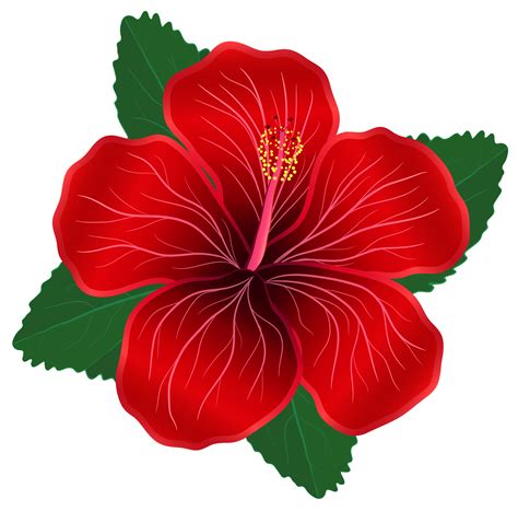 Free Red Flowers Transparent, Download Free Red Flowers Transparent png images, Free ClipArts on ...