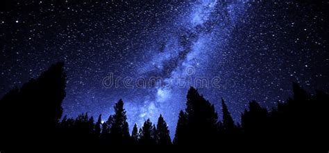 Milky Way Sky Forest at Night Time Stars Stock Photo - Image of ...