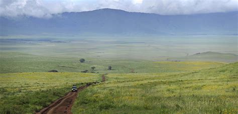 The Highlands, Ngorongoro, Tanzania - 2021 / 2022