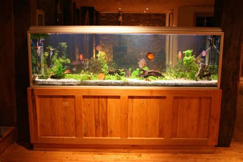 200 Gallon Fish Tank: Our Top Five Picks - Aquariadise