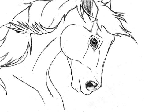 Quarter Horse Drawing by XBloodRedValentineX on DeviantArt