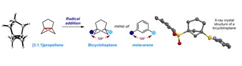 A new bioisostere for meta-substituted arenes | Department of Chemistry