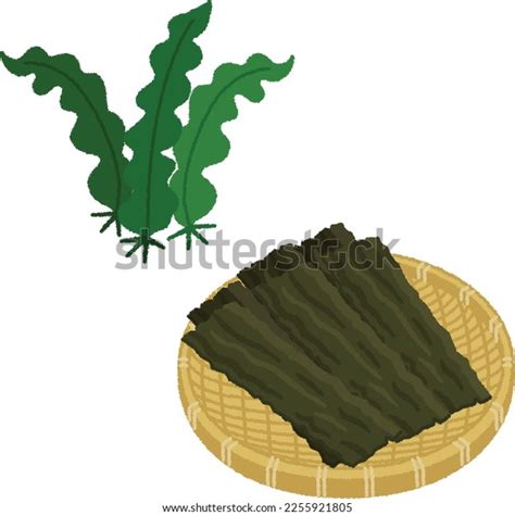 Dried Konbu Royalty-Free Images, Stock Photos & Pictures | Shutterstock