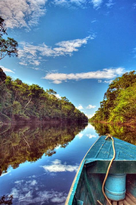 ONE DAY IN THE AMAZON RIVER BASIN - Our World Stuff