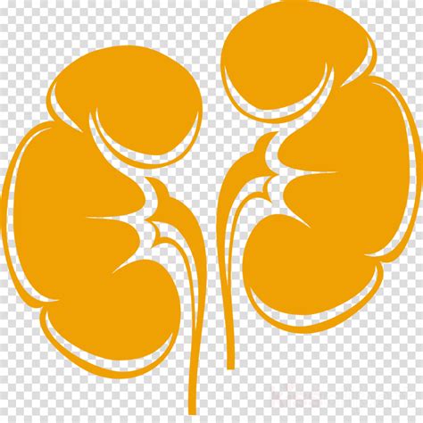 Cartoon Kidney Clip Art - Please use and share these clipart pictures with your friends. - Depp ...