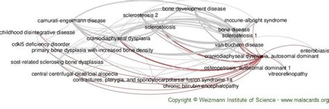 Craniodiaphyseal Dysplasia, Autosomal Dominant disease: Malacards - Research Articles, Drugs ...