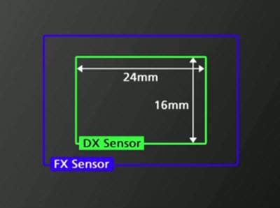 Nikon erklärt: FX-Format und DX-Format › Netzwerk Fotografie