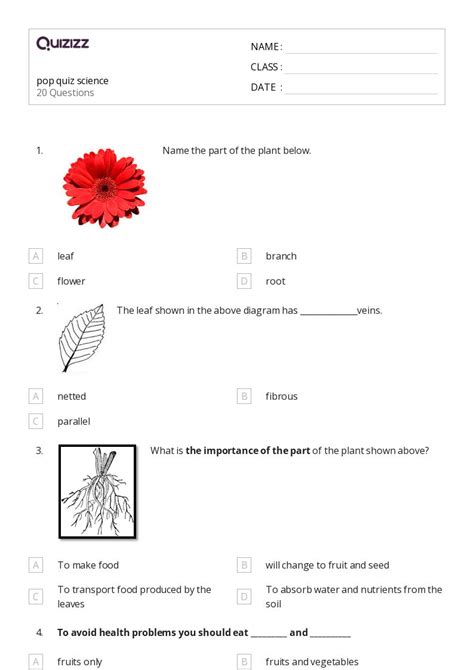 Science Worksheets Types Of Precipitation By Science - vrogue.co