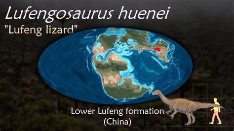 14 Lufengosaurus huenei "Lufeng lizard" Lower Lufeng forma… | Flickr