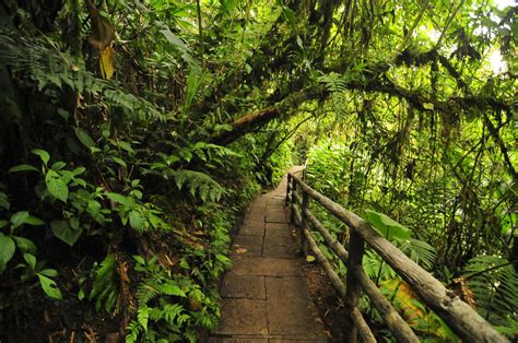 La Paz Waterfall Gardens Tour - La Fortuna, Costa Rica