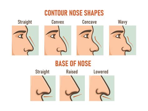 Nose Types Chart