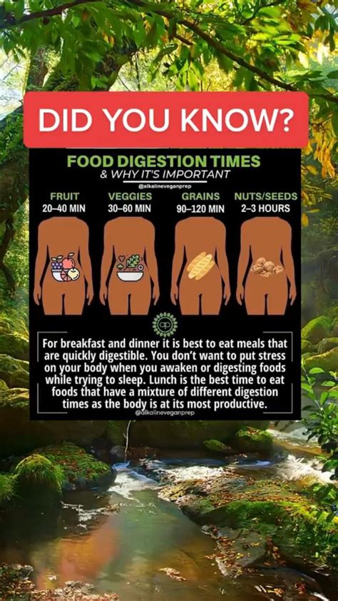 Did you know? - Food Digestion Times | Health tips | Home health ...