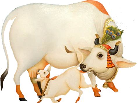 Download ऐसी है मेरी भगवती गौ माता - Krishna With Cow Png PNG Image ...