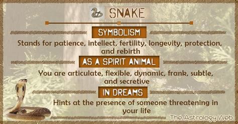 What does the snake symbolize, serpent symbolism, meaning (spiritual ...