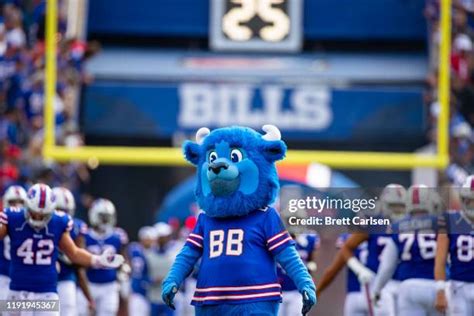 Billy Buffalo Mascot Photos and Premium High Res Pictures - Getty Images