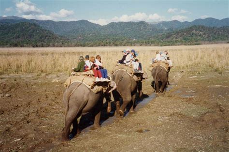 Elephant ride, Corbett NP - India Travel Forum | IndiaMike.com