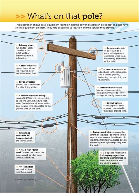 This illustration shows basic equipment found on electric power ...