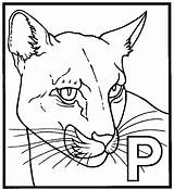 Panther Coloring Pages Free Printable  Printables Hub sketch template