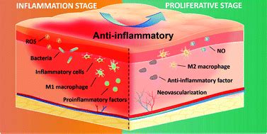 Exploring Anti-Inflammatory Foods and Their Benefits - | healthedupro