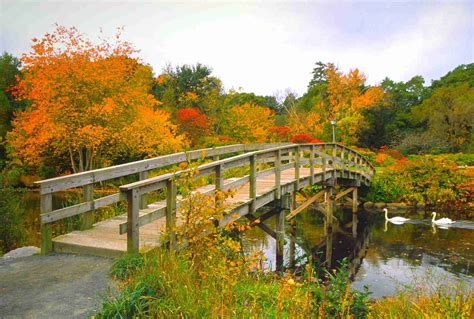 Massachusetts Fall Foliage Driving Tours