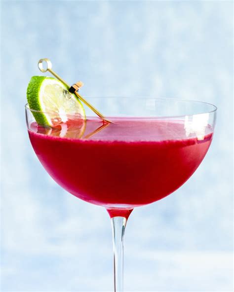 Rum and Cranberry Juice Cocktail – A Couple Cooks