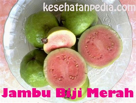 Manfaat Buah Jambu Biji Merah bagi Kesehatan Tubuh - kesehatanpedia