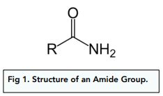 Carboxylic Acids and Derivatives - Structure of Amides (A-Level Chemistry) - Study Mind