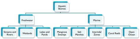 Unit 6: Ecology