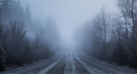 Spooky Fog and Bad Visibility on a Rural Road in Forest - Real Ghost Stories Online