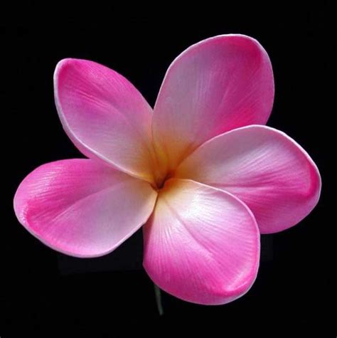 Real Touch Purple Plumeria - Plumeria Bouquets