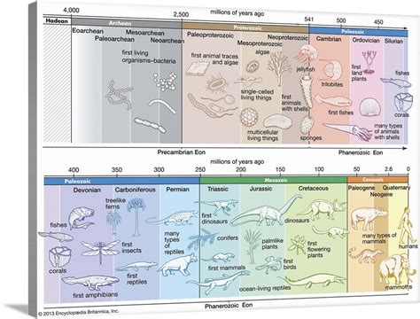 Timeline of Life on Earth Wall Art, Canvas Prints, Framed Prints, Wall Peels | Great Big Canvas