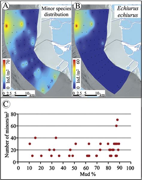 Spatial distribution maps of "minor species" (other distribution). The ...