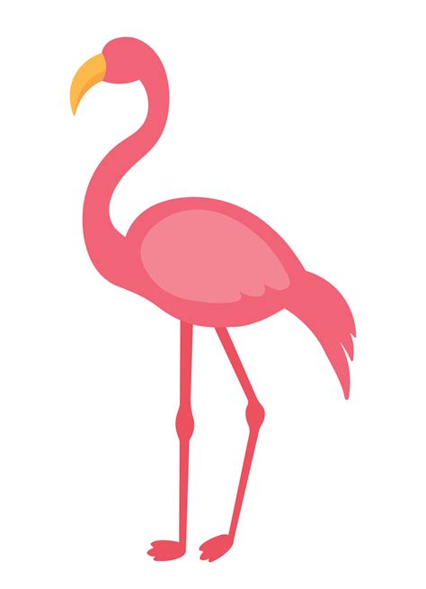 Pink Flamingo Flat Animated Bird Animal Vector Illustration 17639502 Vector Art at Vecteezy