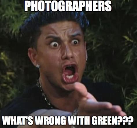 11 Best Photography Memes Of 2019 - Meta Memes