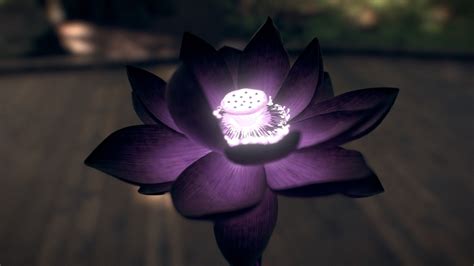 Black Lotus - 3D model by Frank Moussette (@moussetticus) [3c08afd ...