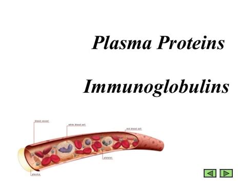 Plasma proteins