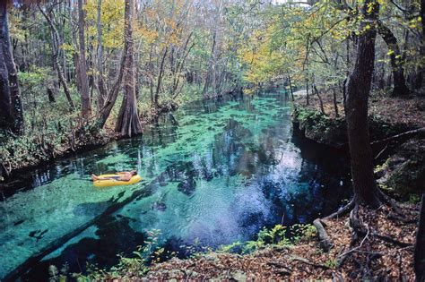 .Ichetucknee Springs State Park in Fort White Florida | Florida state parks, Places in florida ...