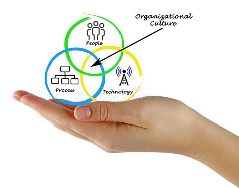 Diagram of Organizational Culture Stock Image - Image of diagram, hand ...