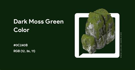 Dark Moss Green color hex code is #0C240B